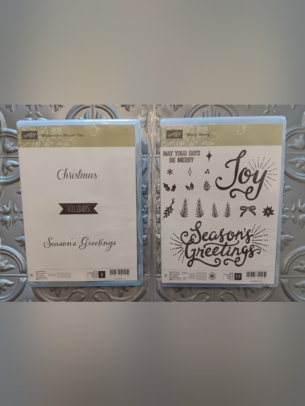 Stampin Up Christmas Watercolor Winter Too #136819 Berry Merry #139768 stamp lot